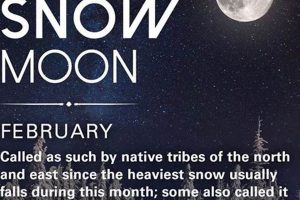 February Full Moon: Astrology Insights & Rituals Astrology Inaction: Discover the Hidden Power of the Stars February Full Moon: Astrology Insights & Rituals | Astrology Inaction: Discover the Hidden Power of the Stars