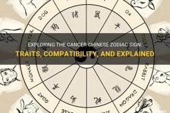 Understanding Cancer in Chinese Astrology Astrology Inaction: Discover the Hidden Power of the Stars Understanding Cancer in Chinese Astrology | Astrology Inaction: Discover the Hidden Power of the Stars