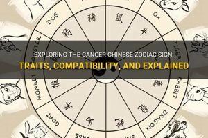 Understanding Cancer in Chinese Astrology | Astrology Inaction: Discover the Hidden Power of the Stars