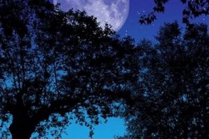 Understanding Buck Moon Astrology & Its Meanings Astrology Inaction: Discover the Hidden Power of the Stars Understanding Buck Moon Astrology & Its Meanings | Astrology Inaction: Discover the Hidden Power of the Stars