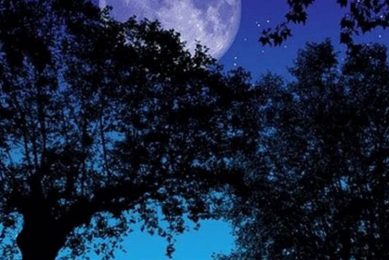 Understanding Buck Moon Astrology & Its Meanings Astrology Inaction: Discover the Hidden Power of the Stars Understanding Buck Moon Astrology & Its Meanings | Astrology Inaction: Discover the Hidden Power of the Stars
