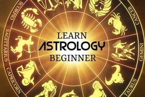 Learn Astrology Online: Guide for Beginners Astrology Inaction: Discover the Hidden Power of the Stars Learn Astrology Online: Guide for Beginners | Astrology Inaction: Discover the Hidden Power of the Stars