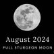 August 2024 Full Moon: Astrological Insights & Guide | Astrology Inaction: Discover the Hidden Power of the Stars