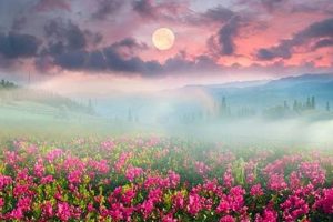 Flower Moon Astrology: Meaning & Influence Astrology Inaction: Discover the Hidden Power of the Stars Flower Moon Astrology: Meaning & Influence | Astrology Inaction: Discover the Hidden Power of the Stars