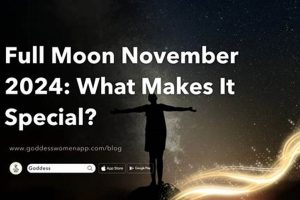 November 2024 Full Moon: Astrology Meaning & Impact Astrology Inaction: Discover the Hidden Power of the Stars November 2024 Full Moon: Astrology Meaning & Impact | Astrology Inaction: Discover the Hidden Power of the Stars