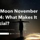 November 2024 Full Moon: Astrology Meaning &amp; Impact | Astrology Inaction: Discover the Hidden Power of the Stars