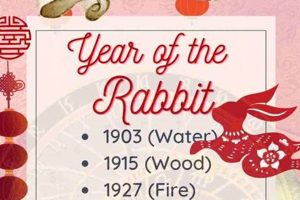 Year of the Rabbit: Chinese Zodiac Guide & Horoscope Astrology Inaction: Discover the Hidden Power of the Stars Year of the Rabbit: Chinese Zodiac Guide & Horoscope | Astrology Inaction: Discover the Hidden Power of the Stars