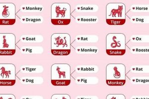 Chinese Zodiac Compatibility: Year Guide Astrology Inaction: Discover the Hidden Power of the Stars Chinese Zodiac Compatibility: Year Guide | Astrology Inaction: Discover the Hidden Power of the Stars