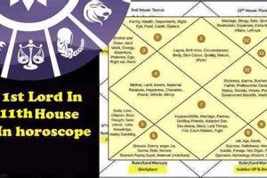 Vedic Astrology: 11th House Explained Astrology Inaction: Discover the Hidden Power of the Stars Vedic Astrology: 11th House Explained | Astrology Inaction: Discover the Hidden Power of the Stars