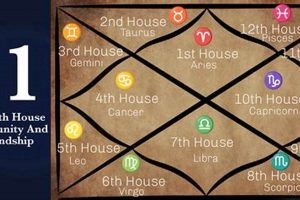 11th House Meaning Astrology Astrology Inaction: Discover the Hidden Power of the Stars 11th House Meaning Astrology | Astrology Inaction: Discover the Hidden Power of the Stars