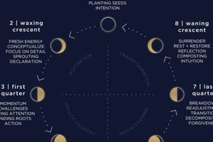 Best Moon Tracker Astrology Apps & Tools Astrology Inaction: Discover the Hidden Power of the Stars Best Moon Tracker Astrology Apps & Tools | Astrology Inaction: Discover the Hidden Power of the Stars