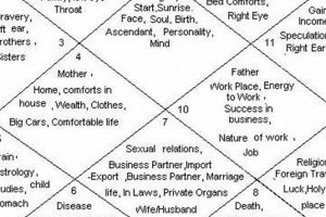 Vedic Astrology: Decoding Your 3rd House Astrology Inaction: Discover the Hidden Power of the Stars Vedic Astrology: Decoding Your 3rd House | Astrology Inaction: Discover the Hidden Power of the Stars
