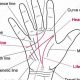 Decode Your Destiny: Astrology Hand Line Meaning Revealed | Astrology Inaction: Discover the Hidden Power of the Stars