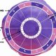 Decode Your Destiny: Astrology Answers Birth Chart Insights | Astrology Inaction: Discover the Hidden Power of the Stars