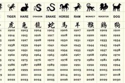 1999 Chinese Astrology: Year of the Rabbit Astrology Inaction: Discover the Hidden Power of the Stars 1999 Chinese Astrology: Year of the Rabbit | Astrology Inaction: Discover the Hidden Power of the Stars