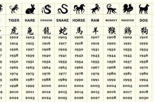 1999 Chinese Astrology: Year of the Rabbit Astrology Inaction: Discover the Hidden Power of the Stars 1999 Chinese Astrology: Year of the Rabbit | Astrology Inaction: Discover the Hidden Power of the Stars