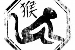 Chinese Astrology Metal Monkey | Astrology Inaction: Discover the Hidden Power of the Stars